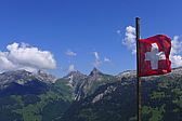 p1050207.jpg