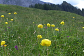 p1050211.jpg