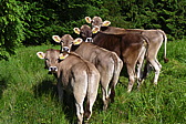 p1050217.jpg