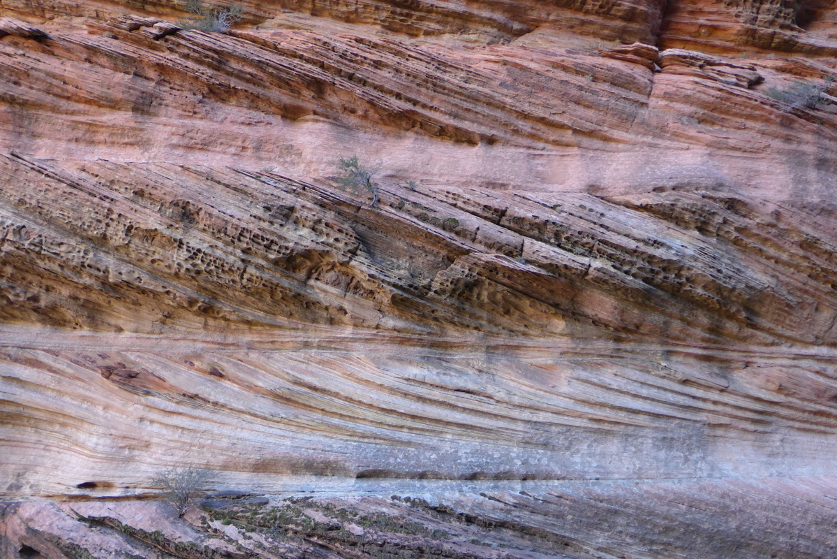 d1060110.jpg