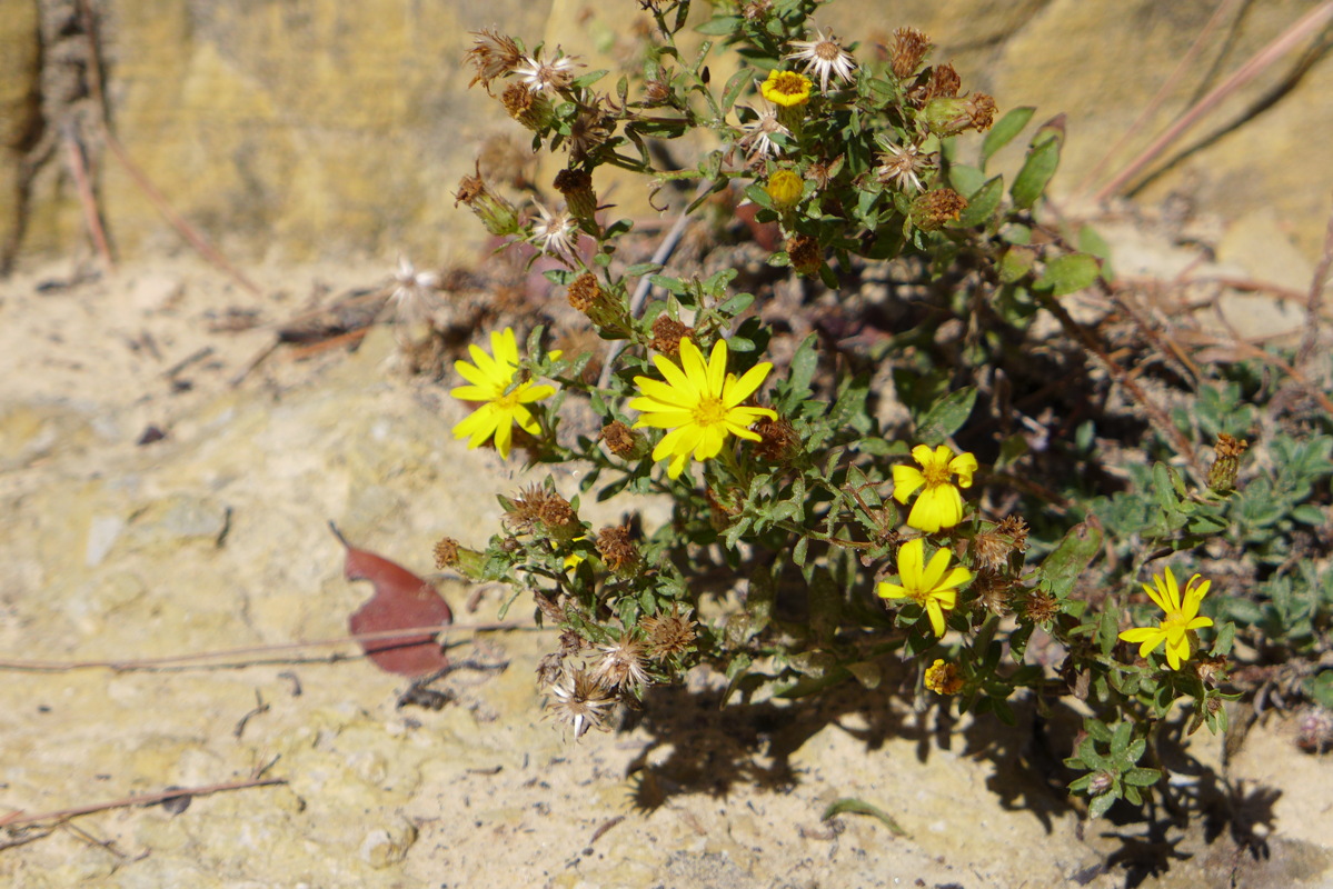 d1060126.jpg