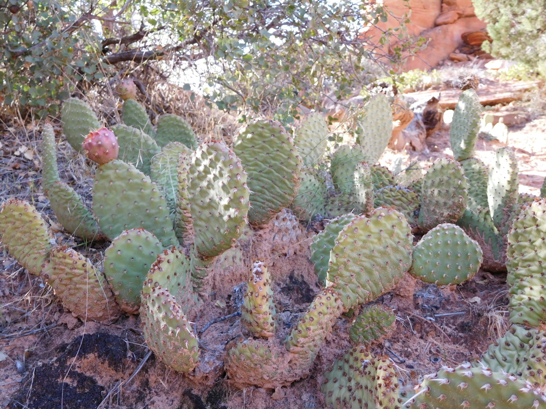 dscn0032.jpg