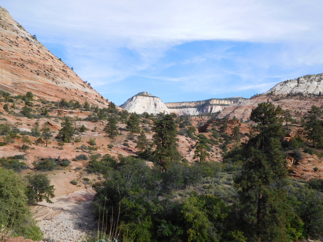 dscn0062.jpg