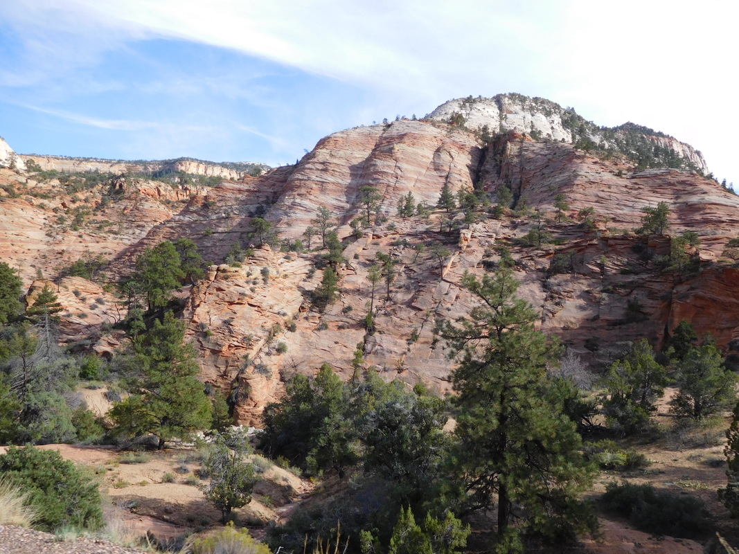 dscn0063.jpg