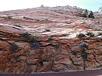 dscn0058.jpg