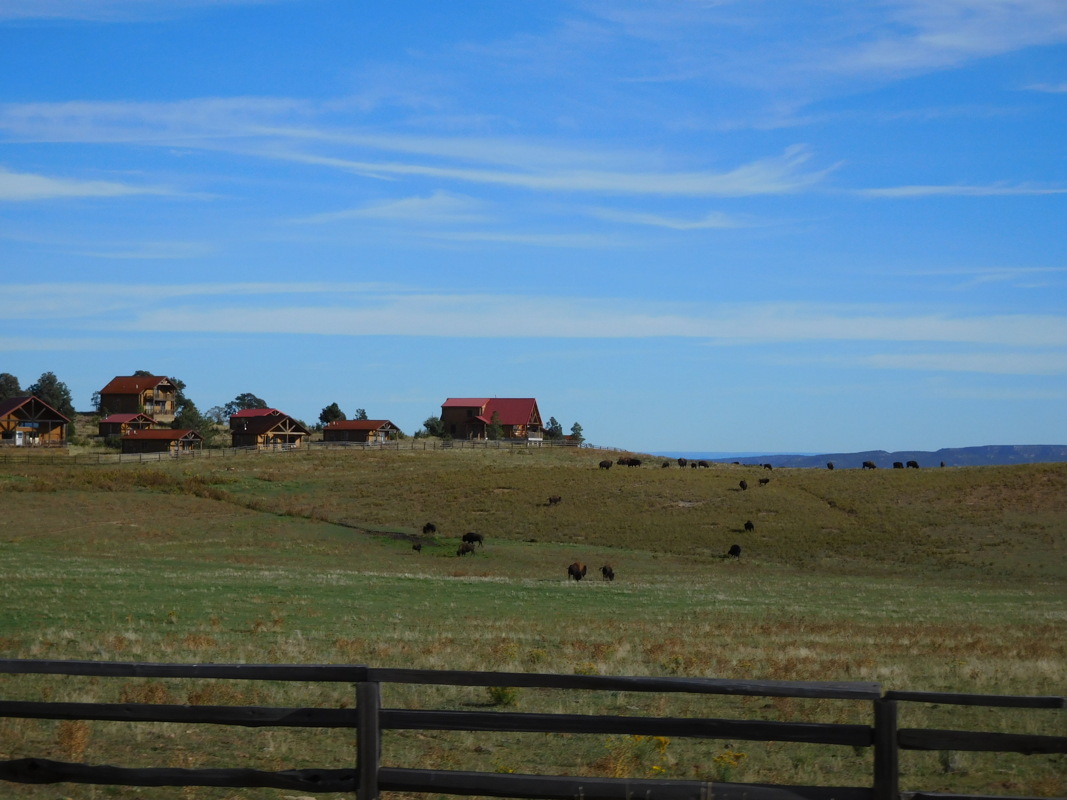 dscn0072.jpg