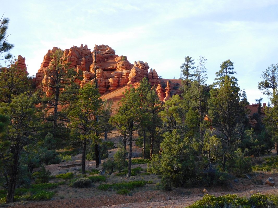 dscn0119.jpg