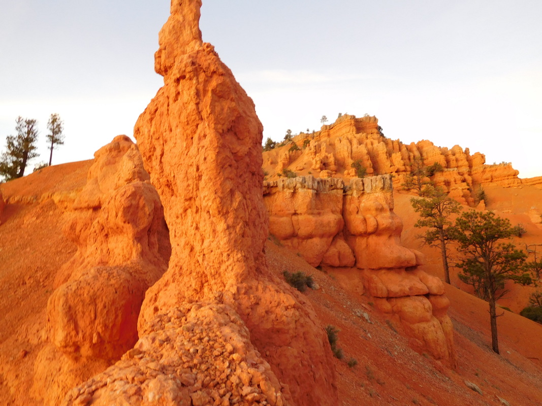 dscn0132.jpg
