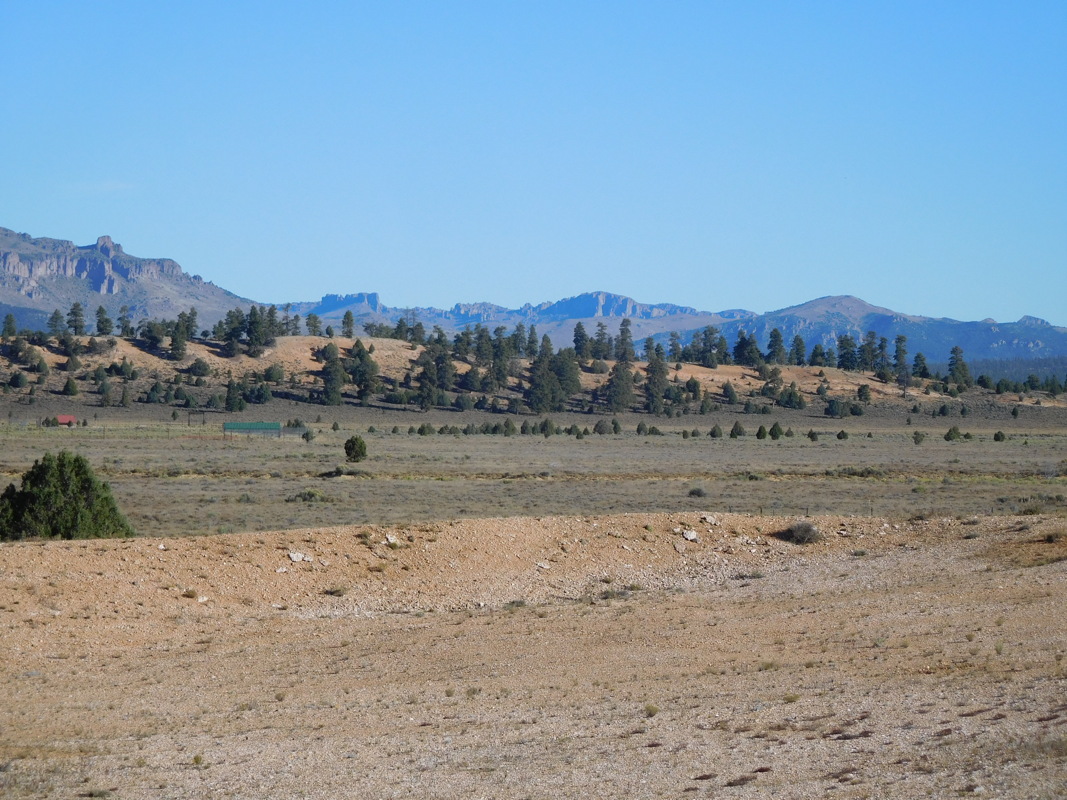 dscn0139.jpg