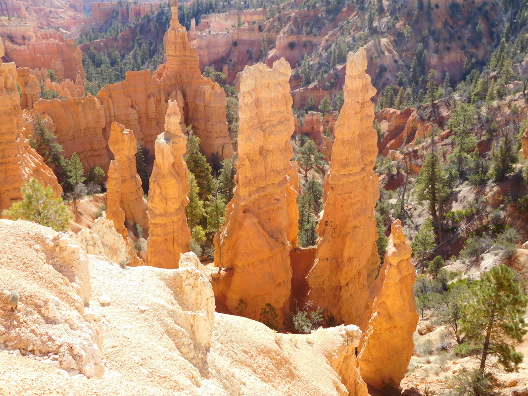 dscn0142.jpg