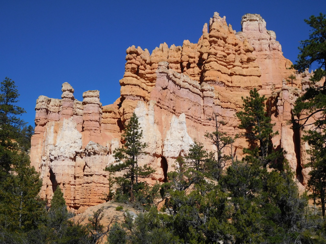 dscn0152.jpg