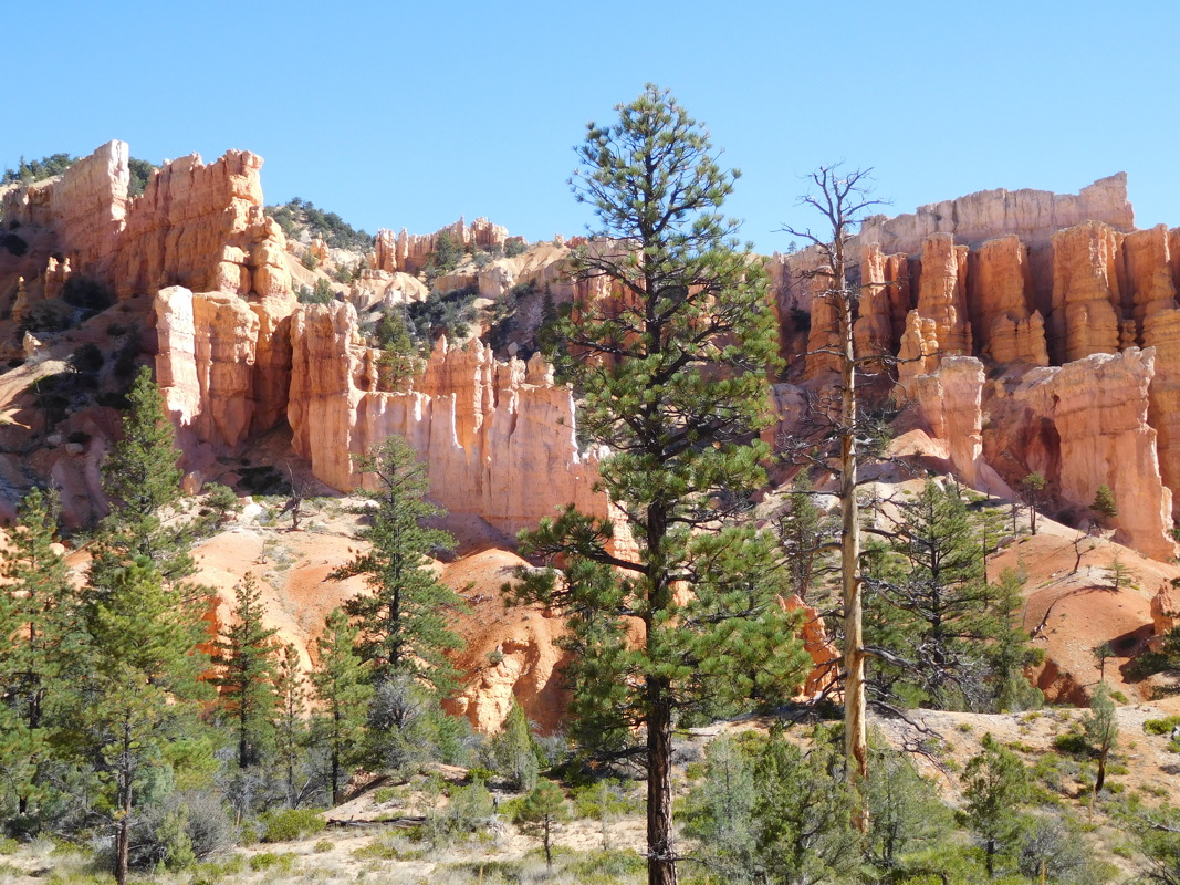 dscn0153.jpg