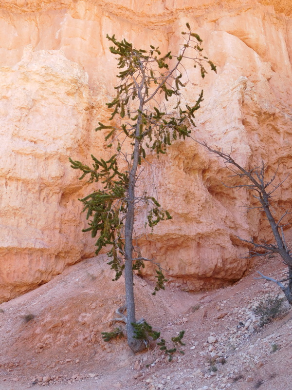 dscn0155.jpg