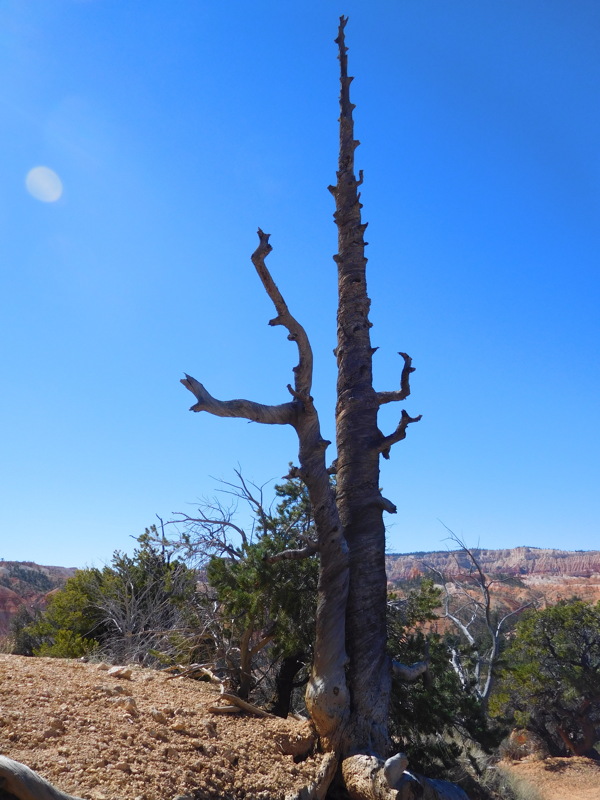 dscn0171.jpg