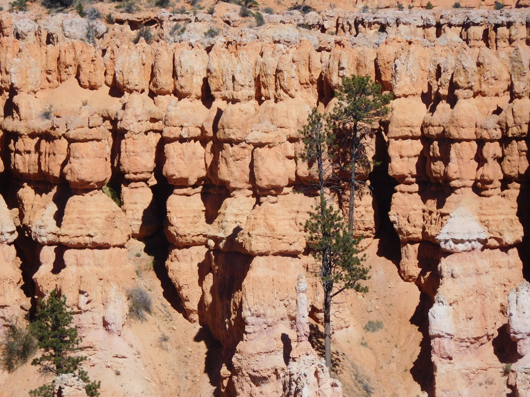 dscn0175.jpg