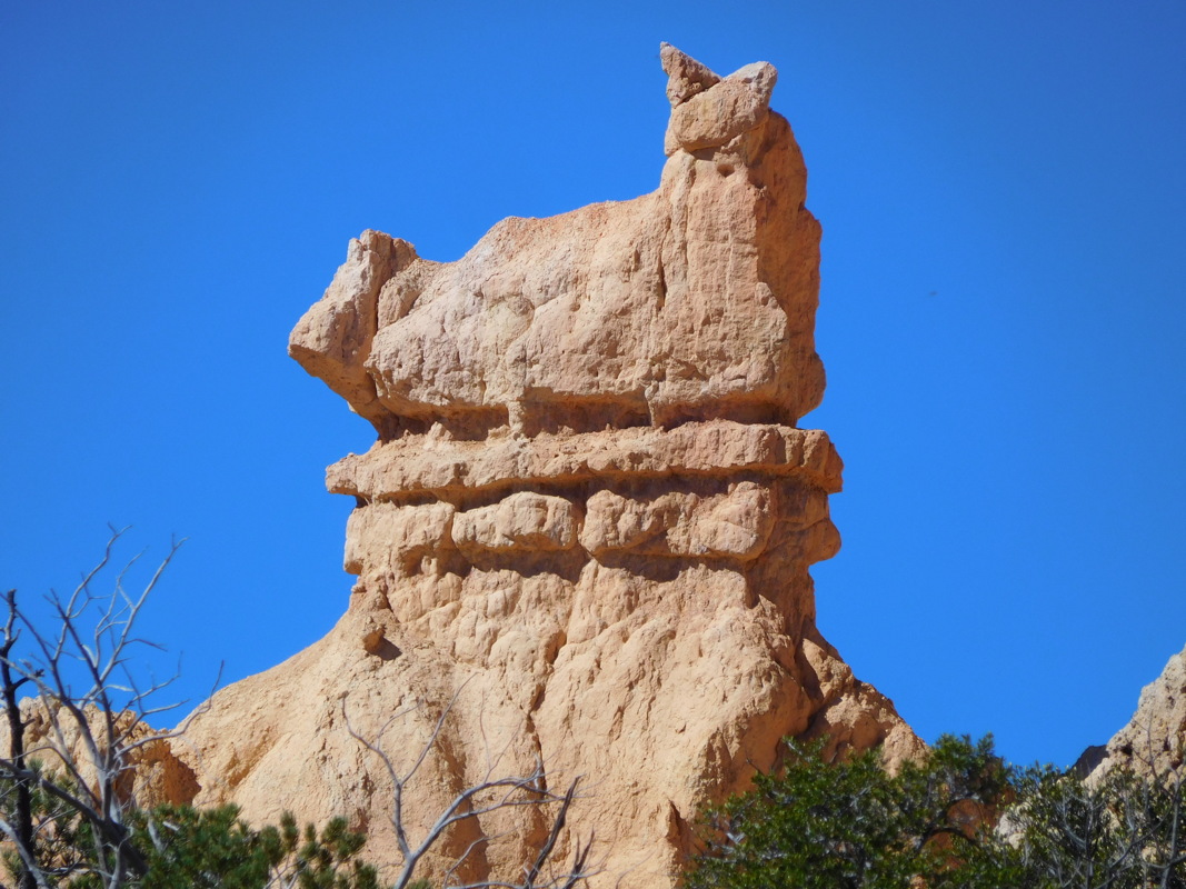 dscn0176.jpg