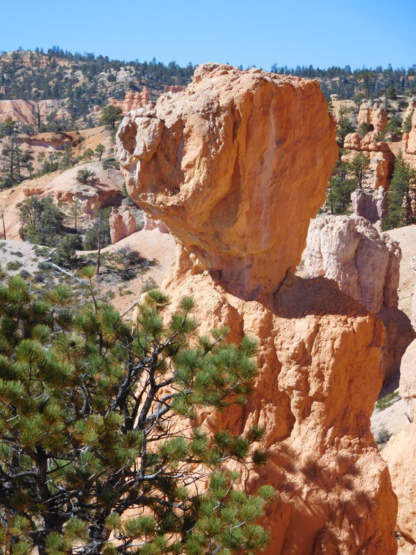 dscn0179.jpg