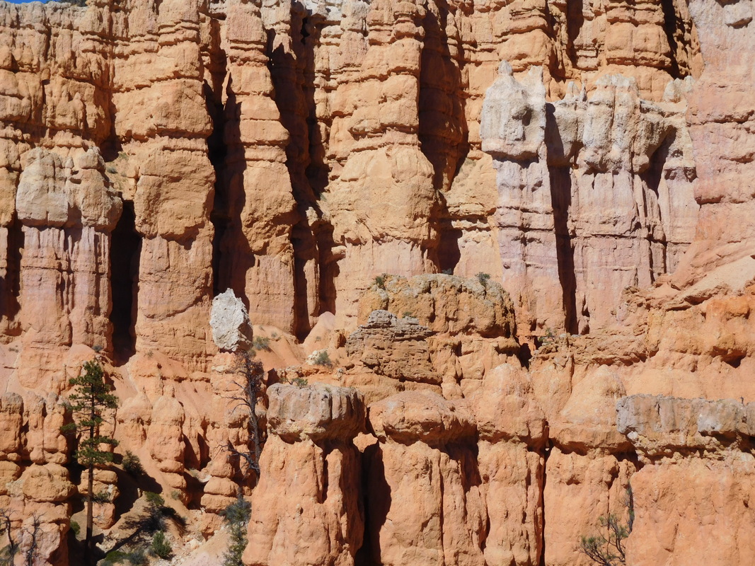 dscn0180.jpg