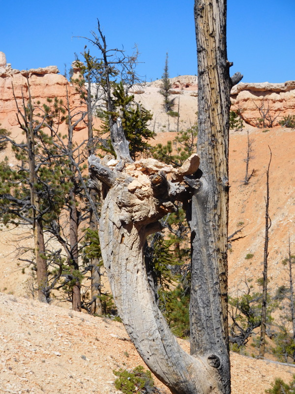 dscn0194.jpg