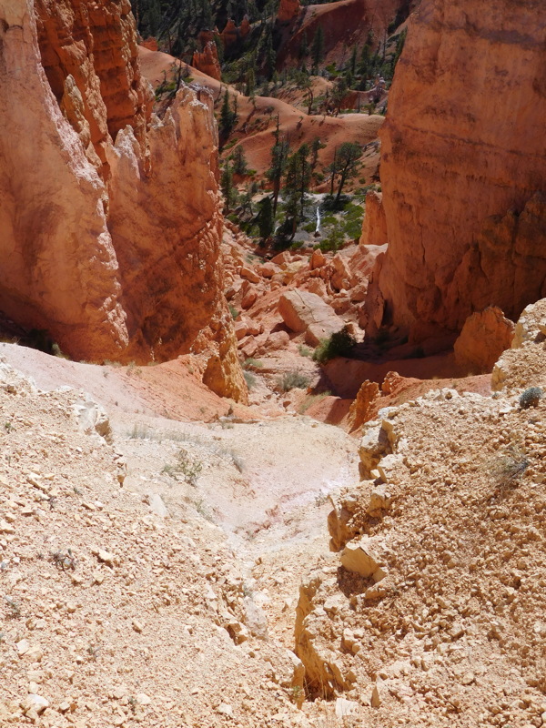 dscn0200.jpg