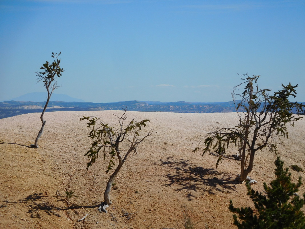 dscn0203.jpg