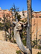 dscn0194.jpg
