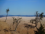 dscn0203.jpg