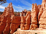 dscn0204.jpg