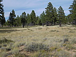 dscn0226.jpg