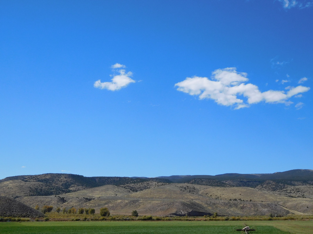 dscn0261.jpg