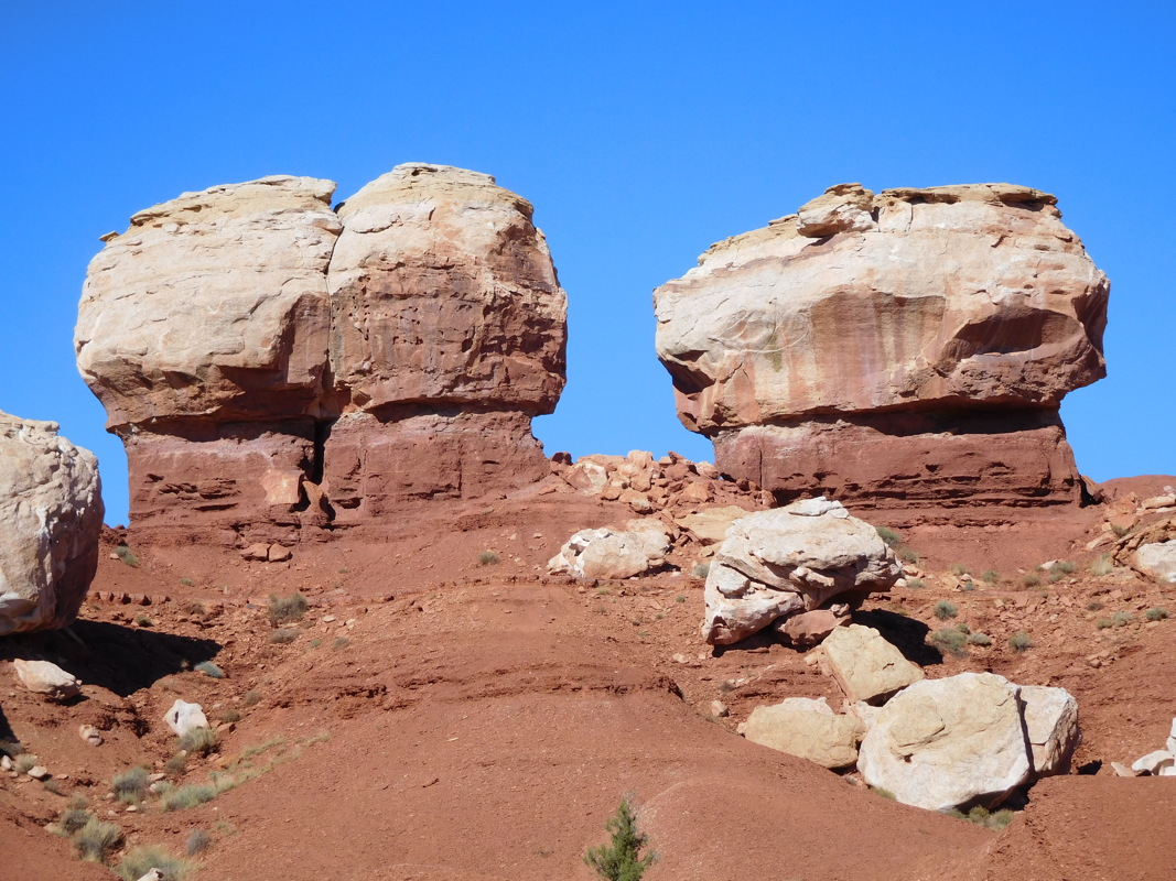 dscn0270.jpg