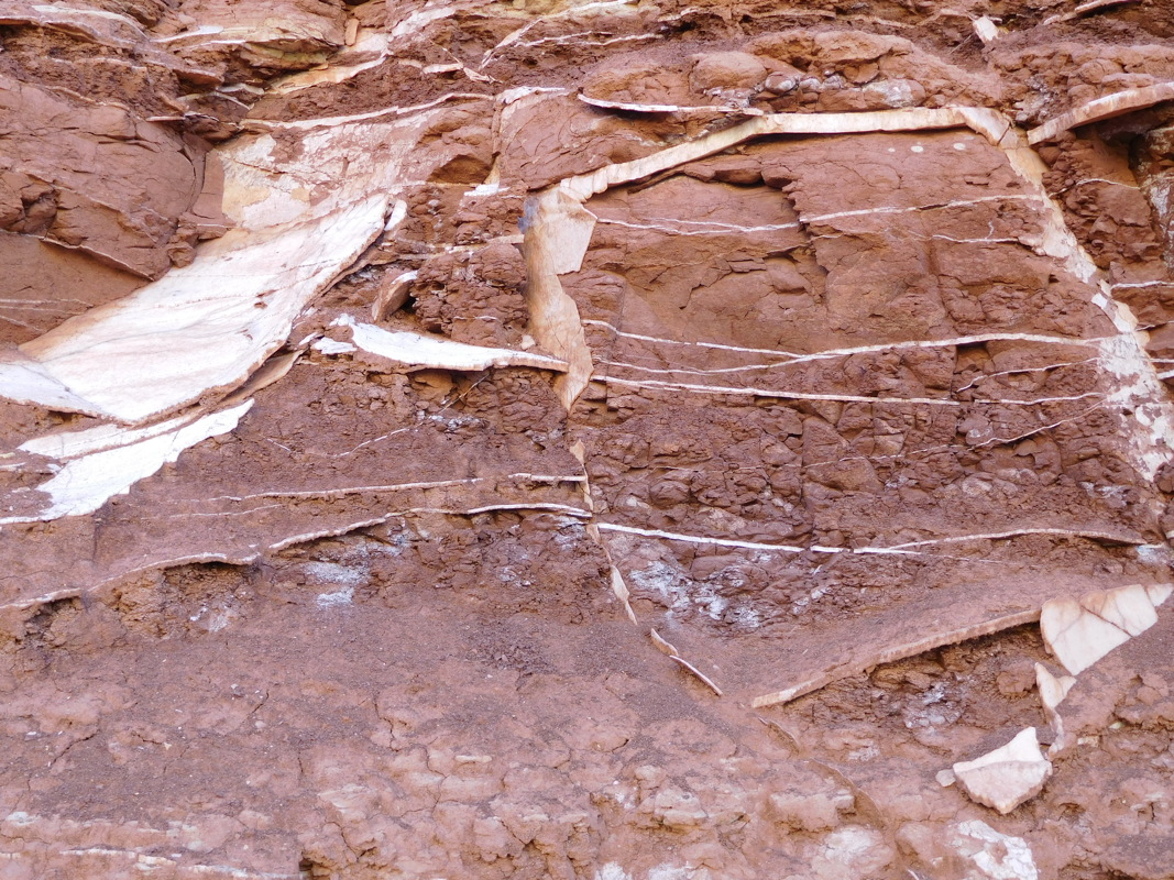 dscn0289.jpg