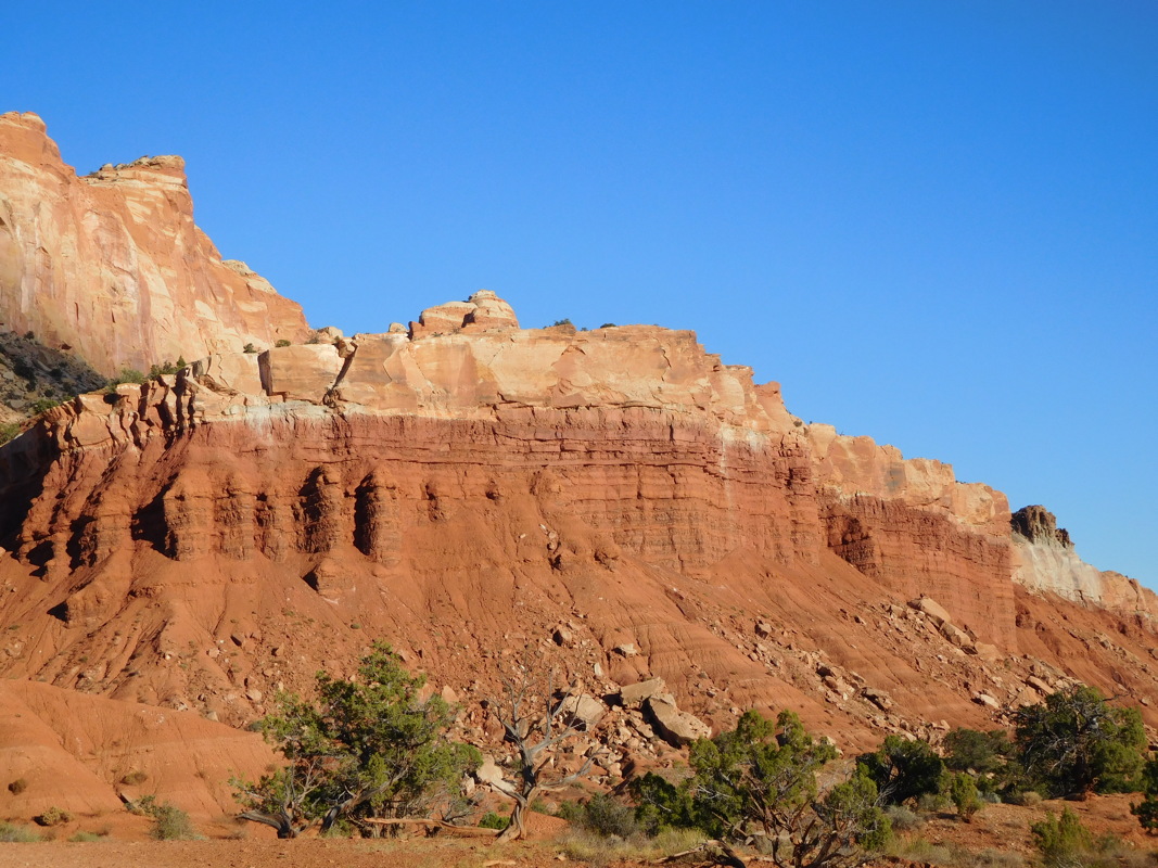 dscn0347.jpg