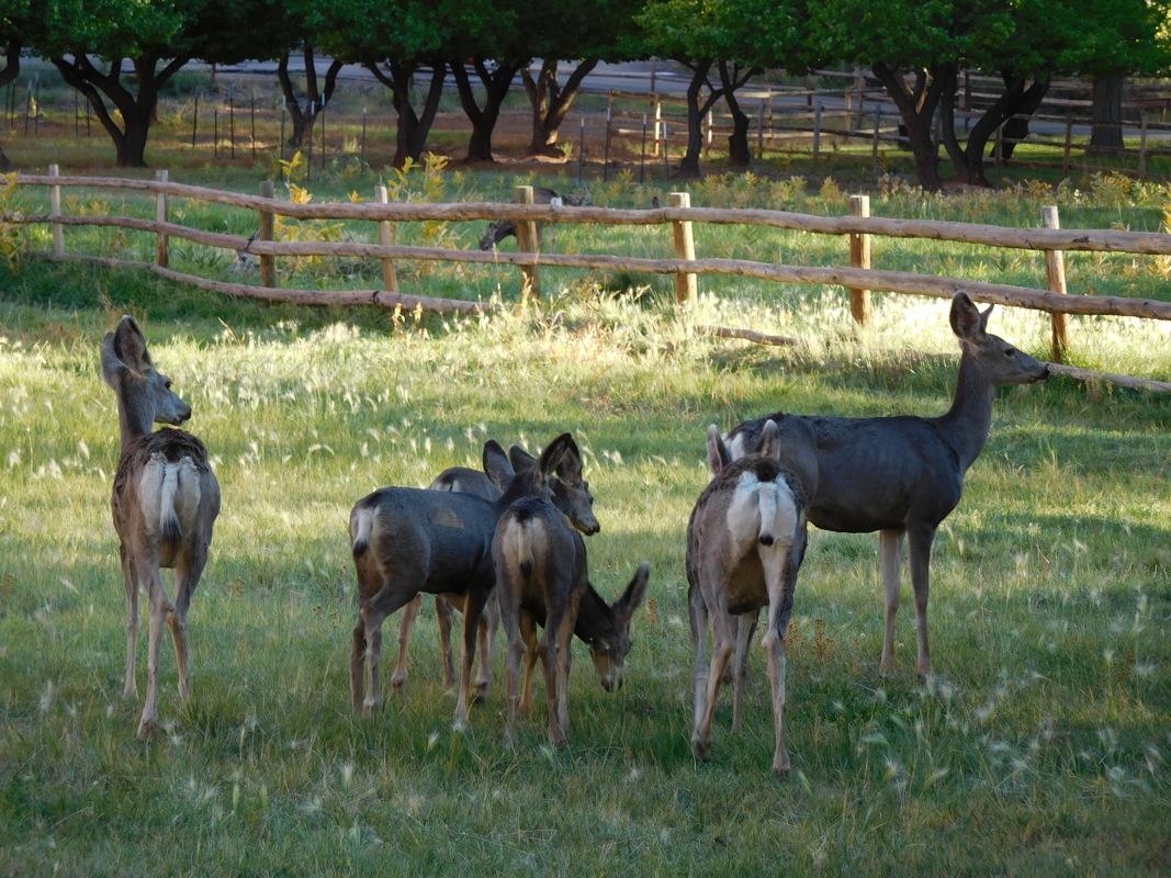 dscn0363.jpg