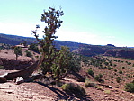 dscn0276.jpg