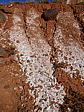 dscn0282.jpg