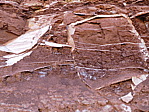 dscn0289.jpg