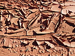 dscn0290.jpg