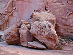 dscn0305.jpg