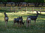 dscn0363.jpg