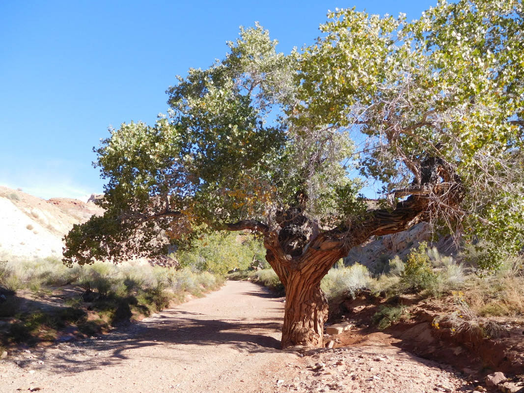 dscn0390.jpg