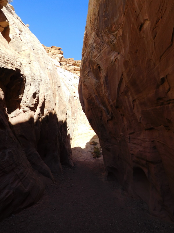 dscn0392.jpg