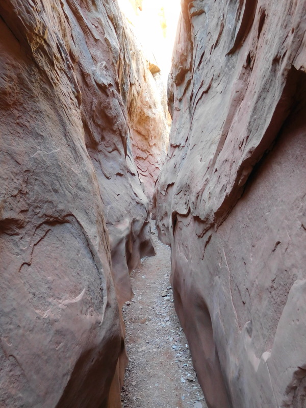 dscn0397.jpg