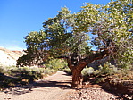 dscn0390.jpg