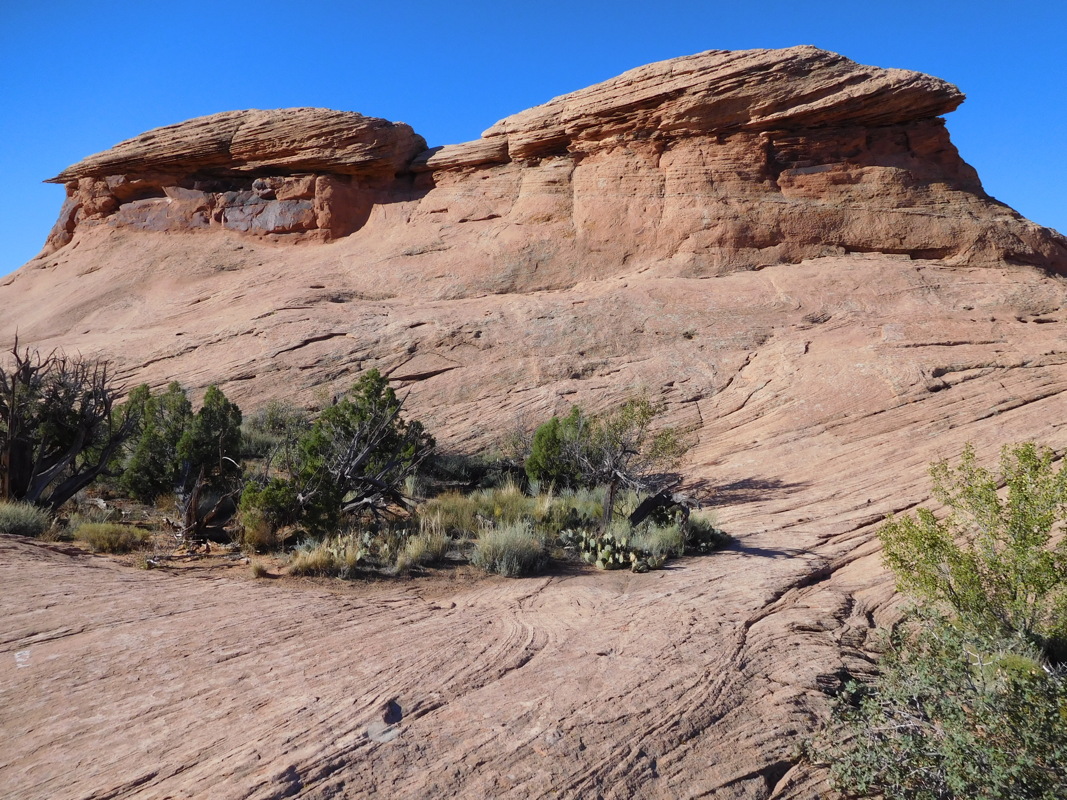 dscn0457.jpg