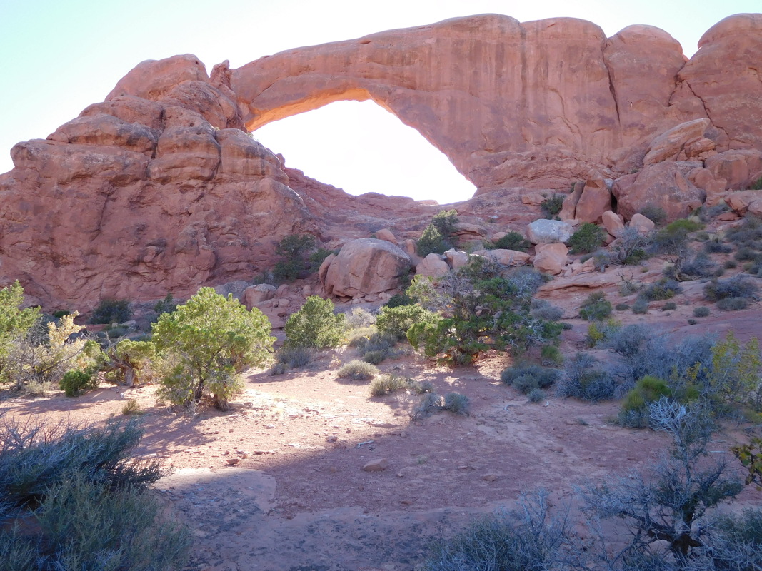 dscn0479.jpg