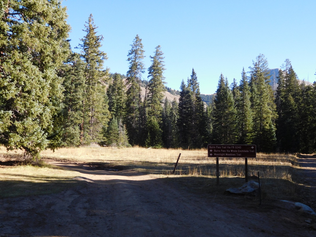 dscn0534.jpg