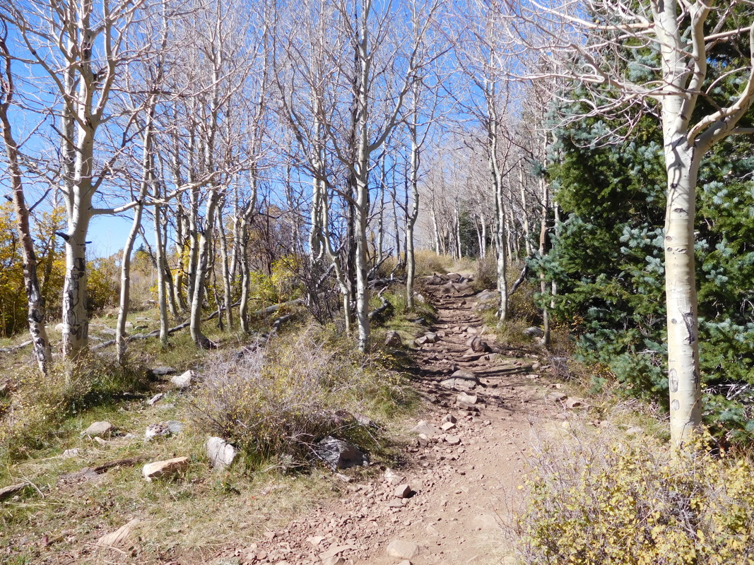 dscn0562.jpg