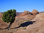dscn0453.jpg