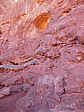 dscn0475.jpg